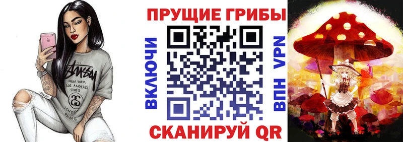 Псилоцибиновые грибы ЛСД  Купить где  Долгопрудный 